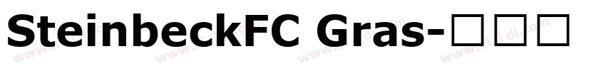 SteinbeckFC Gras字体转换